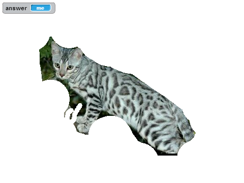 Make your own warrior cat! game
