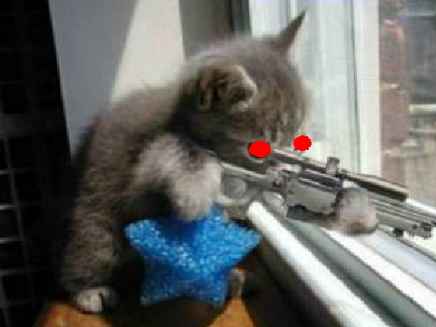 Kitty Gonna Snipe You