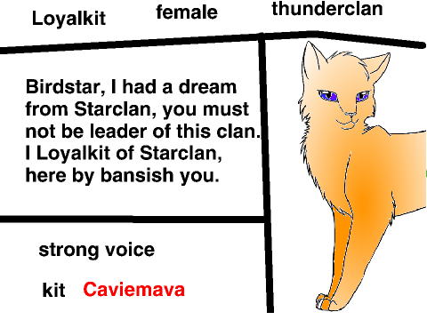 Warrior cat auditions! open remix- my auditon