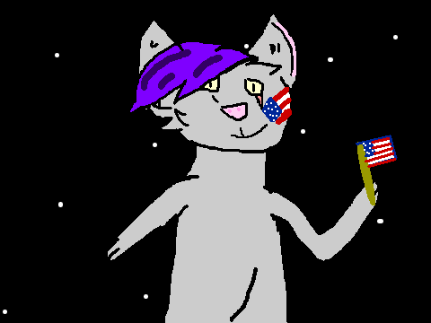 Firework MEME 