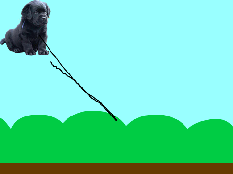 My First Ever Scratch Project