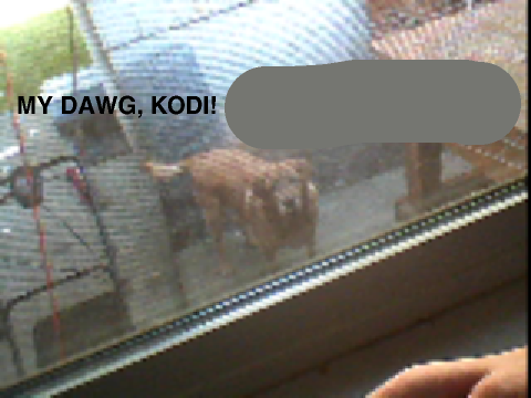 my dawg!