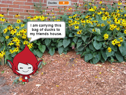Find the Ducks!