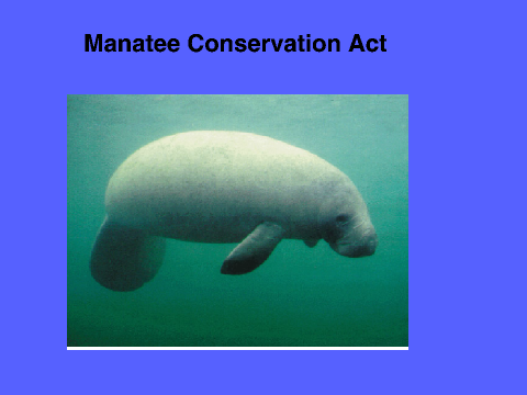 SAVE THE MANATEES
