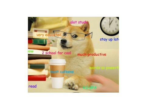 Doge