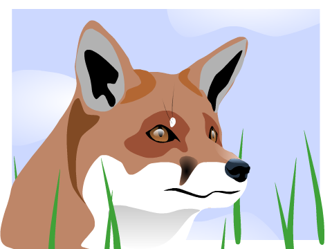 Fox Speedpaint