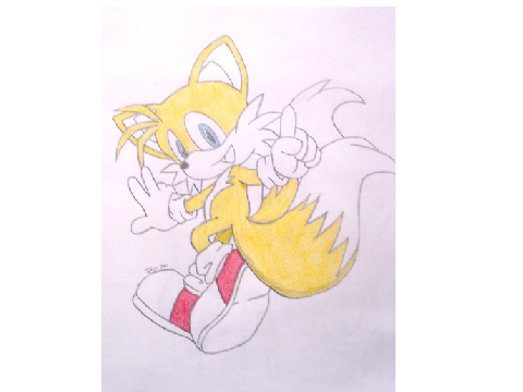my tails the fox drawing