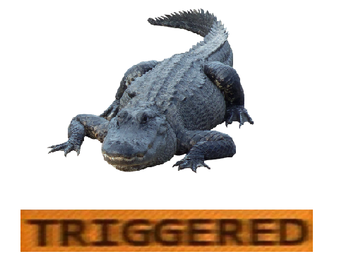 Interior Crocidile Alligator M8