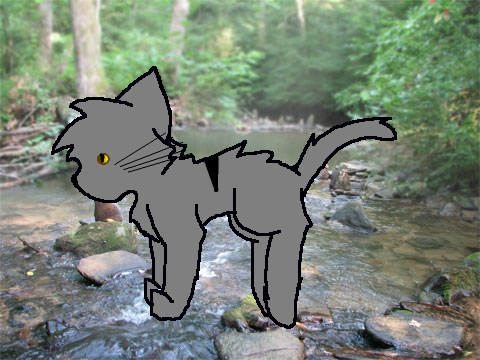 Cat Run cycle remix