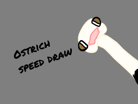 Ostrich speed draw