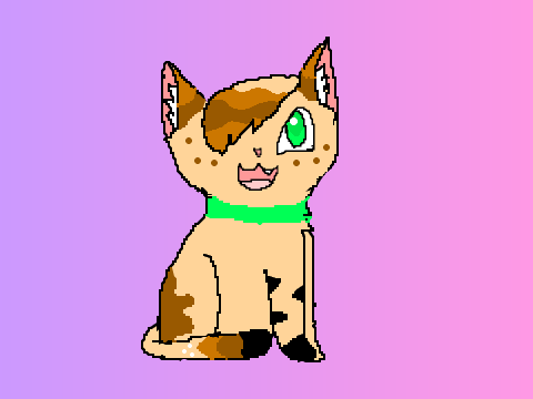 My entree for 16 Followers (not really)Short DTA! 