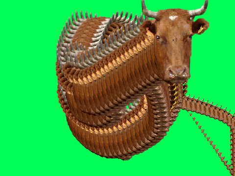 COW follow