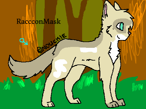 The Cats of HollowClan (And Kittypets)