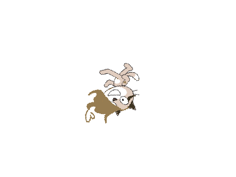 im bak