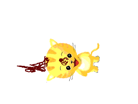 Lovely cute cat...