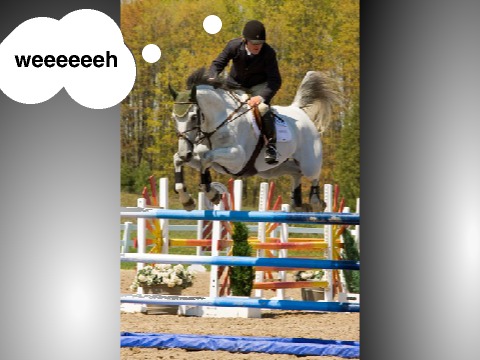 What equetrians think with riding