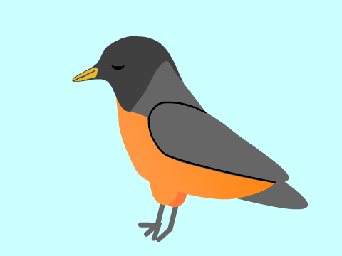 Robin speed draw