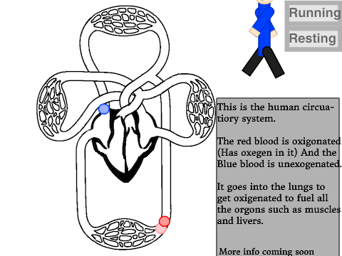 Circle System