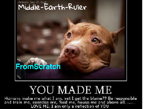 Sign To Stop Pit Bull Abuse!!! remix