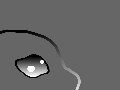 An Animal's Eye