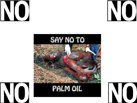 Save the Orang-utans