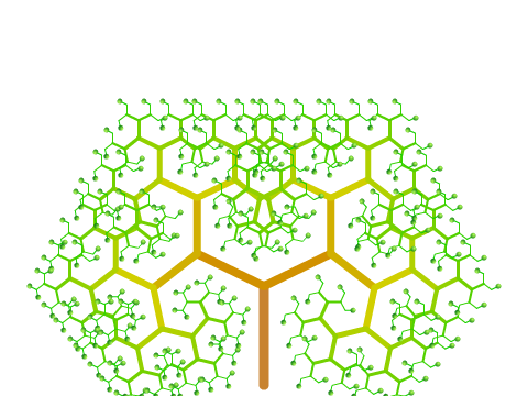 Fractal Trees