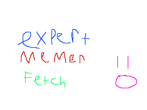 Fetch, The Expert Memer
