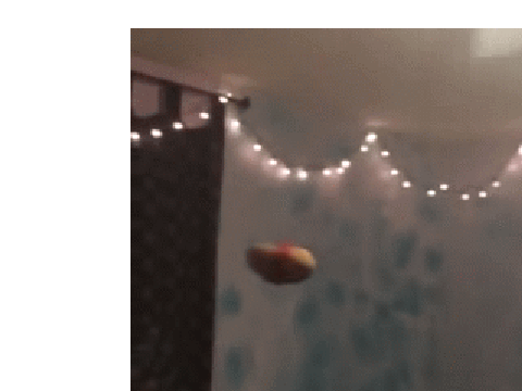 A potato