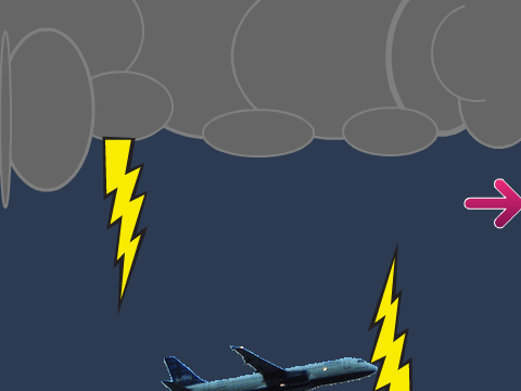 Fly a Plane!