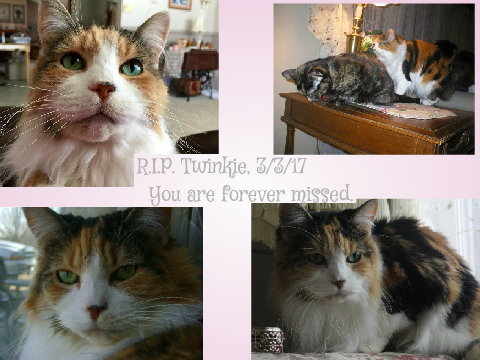 Rest in Peace, Twinkie