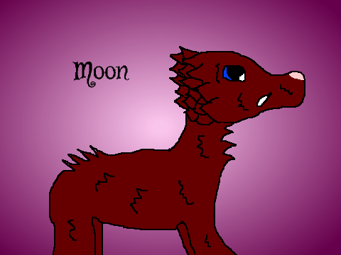 Random DTA