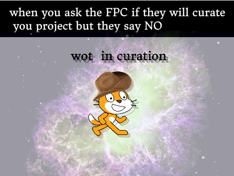 when you ask the FPC if they will curate you project but they say NO
