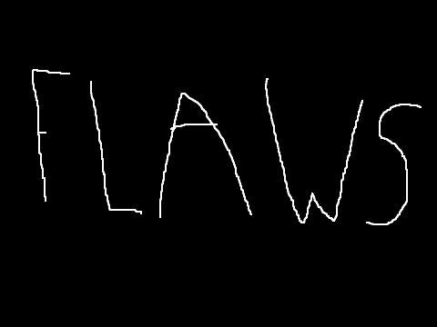 f l a w s