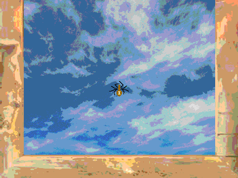 7:3 Web-Spinning Spider