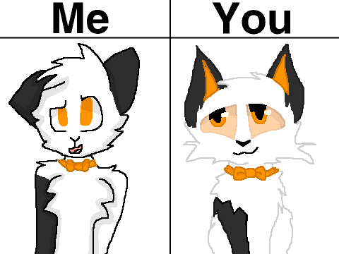 How do you draw me entry