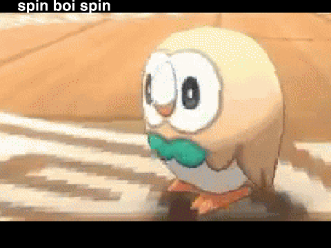 Sppining rowlet  