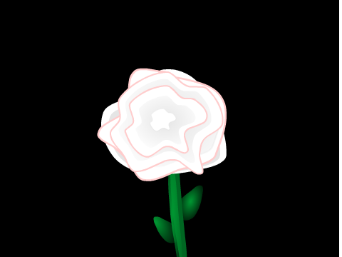 Apology