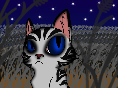 For NotAMedicineCatYet!