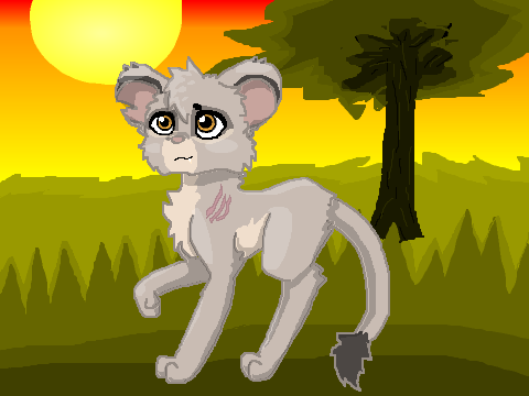 Lion Cub Adopts Aki