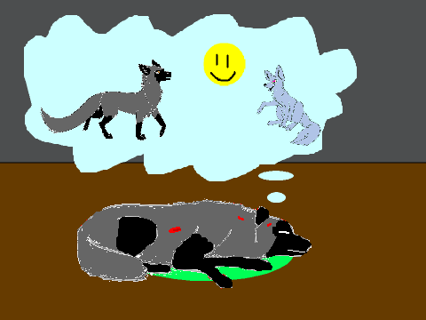 Dreaming Ripper