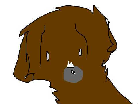 Adopts entry!?