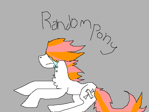 random poney