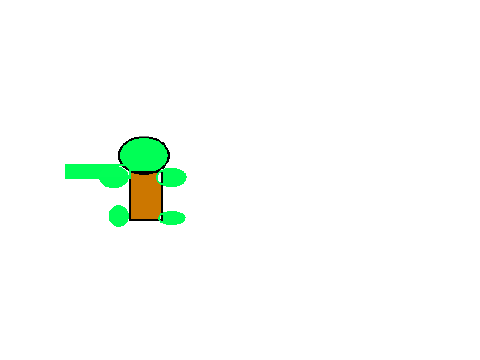 Dancing Turtles