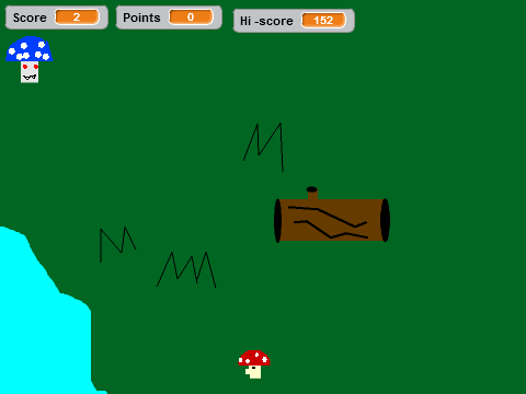 Mushroom madness!