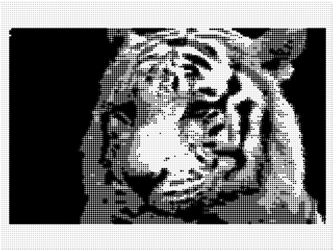 B+W Halftone NPR