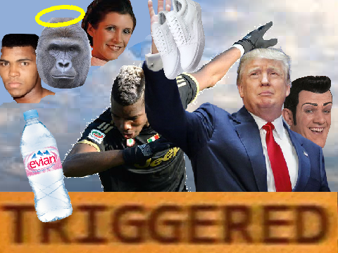 2016 in one picture