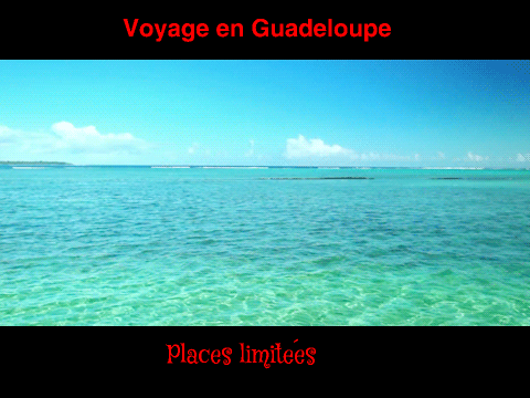 Les vacances d'été... :-(
