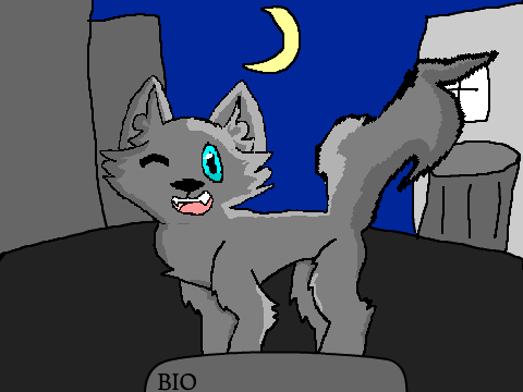 The End is Only the Beginning - TheGamerWolf