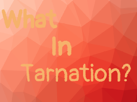 What In Tarnation?! (Random)