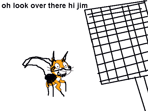 fly swatter